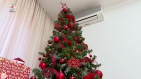 Războiul bradului: pe nou sau pe vechi? Părerile oamenilor sunt împărțite: „Păstrăm aceleași tradiții, cum știm noi, cum ne-am trezit noi din bătrâni”